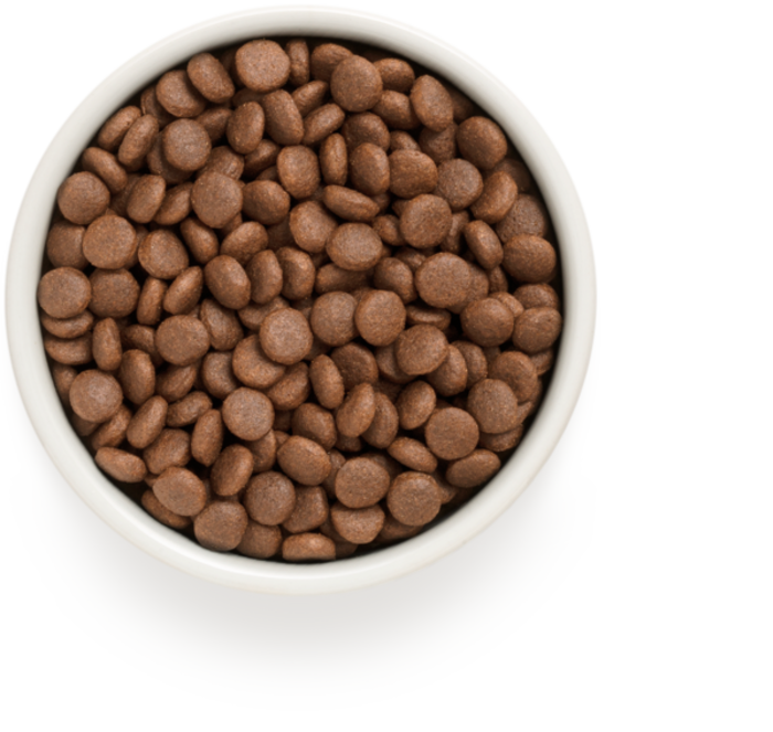 Grandorf Fresh Adult Medium-Maxi Xira Trofi Skulou me Freskia Papia kai Gukopatata 10kg